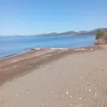 Finikas