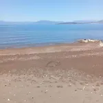Finikas Διαμέρισμα