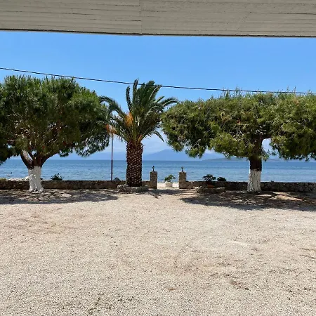 Finikas Íria