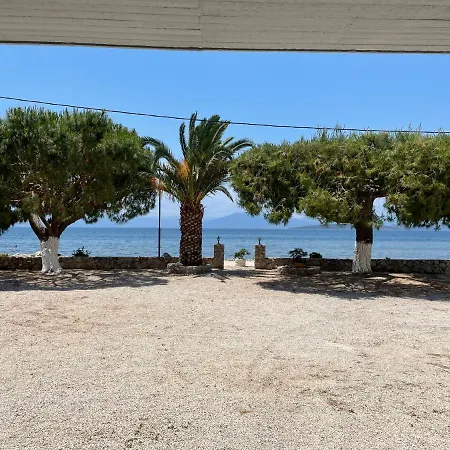 Finikas Íria