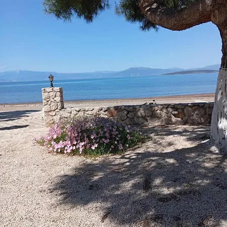 Finikas * Íria