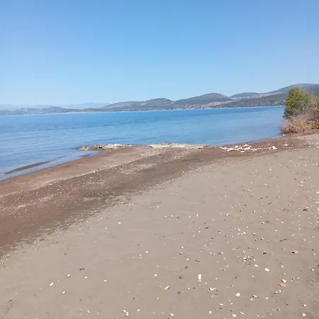 Finikas