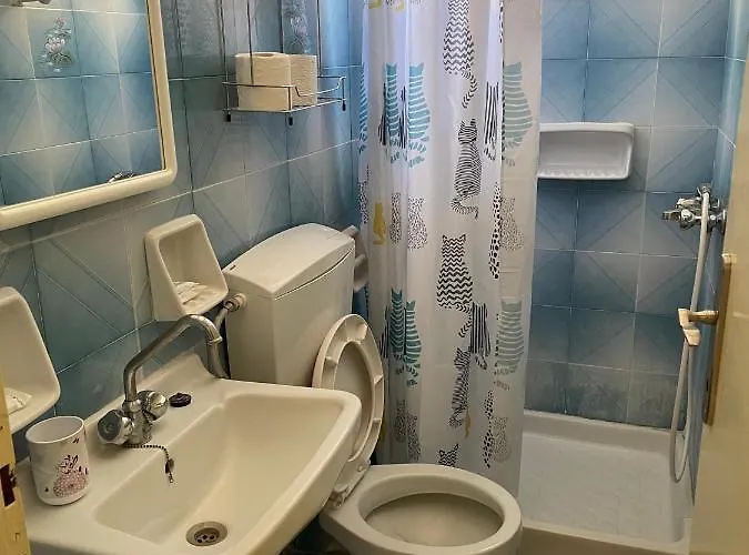 费尼卡斯酒店 公寓 *